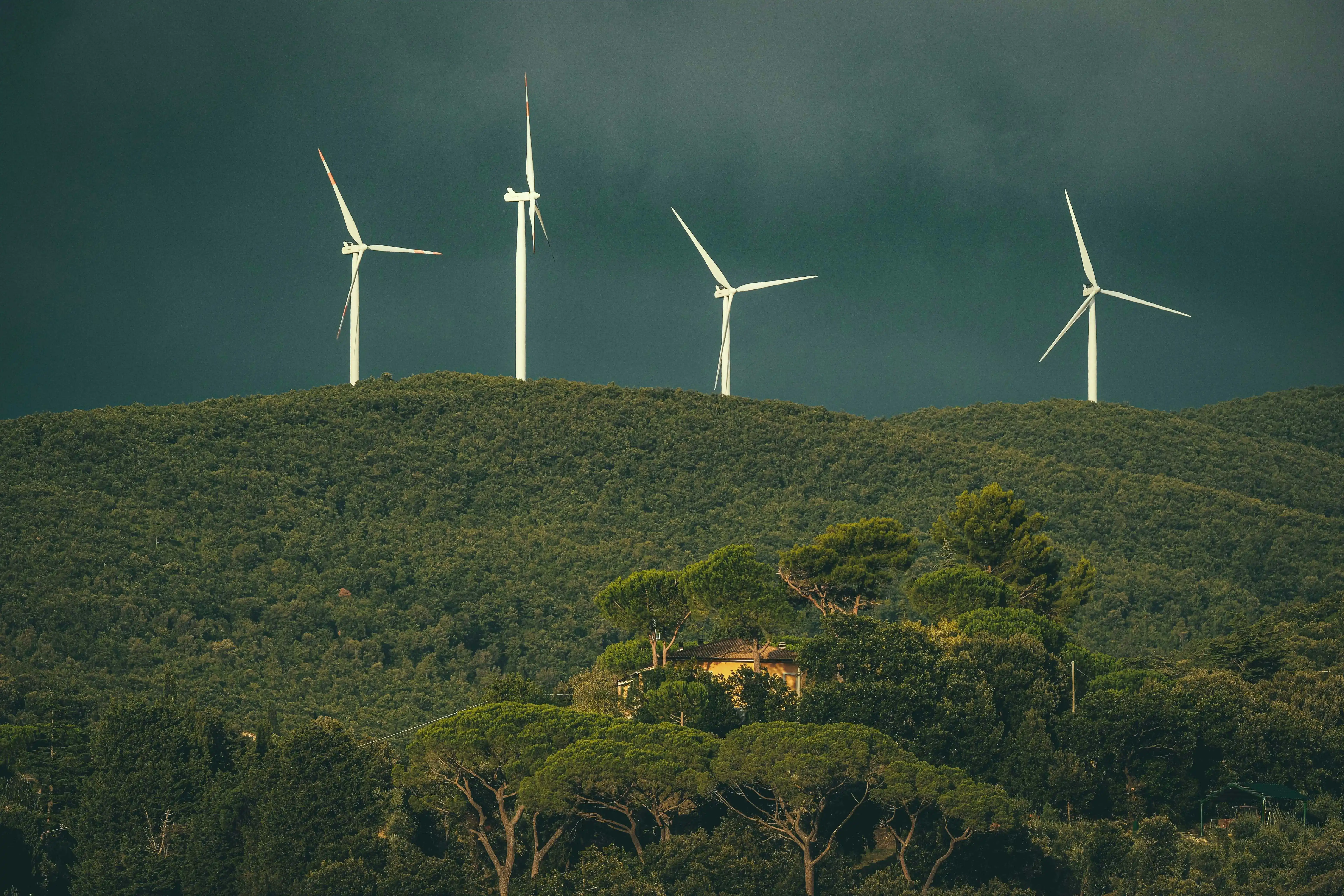 Wind turbines in green landscape